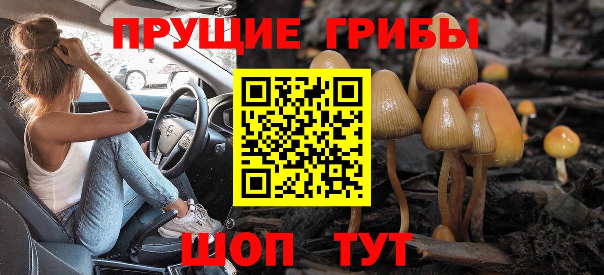где купить наркотик  Псилоцибиновые грибы мицелий  Вход с VPN  Галлюциногенные грибы мухоморы  Рязань 