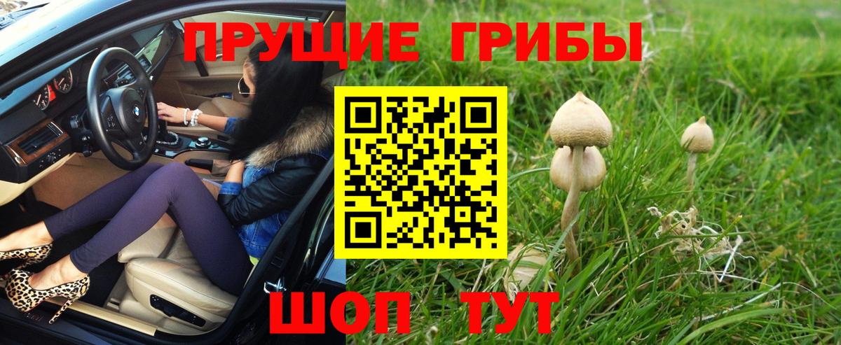 Псилоцибиновые грибы MAGIC MUSHROOMS Рязань